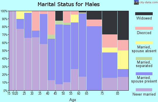 Zip code 28450 marital status for males