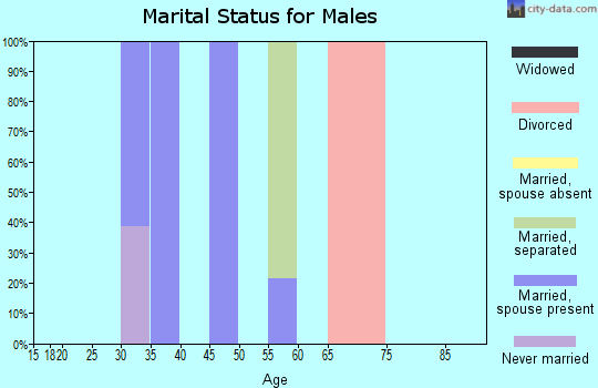 Zip code 28452 marital status for males