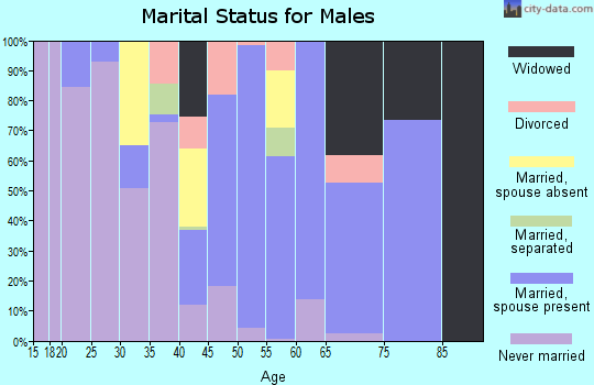 Zip code 28453 marital status for males