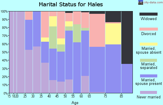 Zip code 28456 marital status for males