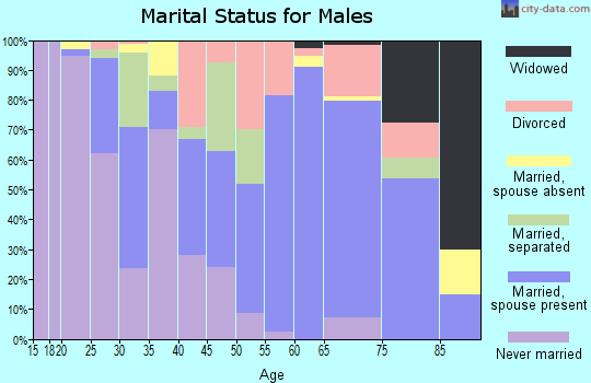 Zip code 28458 marital status for males