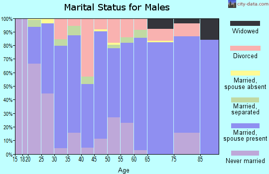 Zip code 28460 marital status for males
