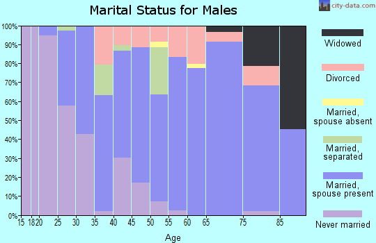 Zip code 28461 marital status for males
