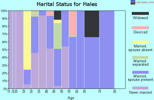 Zip code 28464 marital status for males