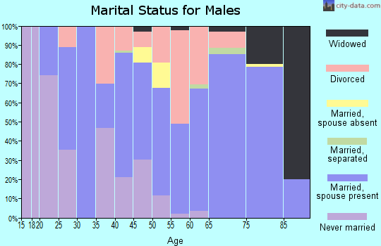 Zip code 28465 marital status for males
