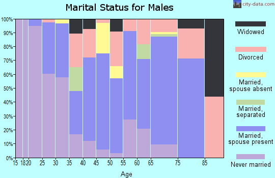 Zip code 28466 marital status for males