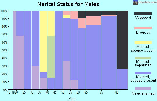 Zip code 28468 marital status for males