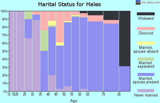 Zip code 28469 marital status for males