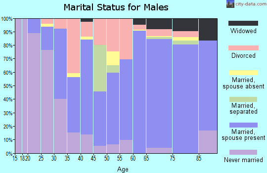 Zip code 28470 marital status for males