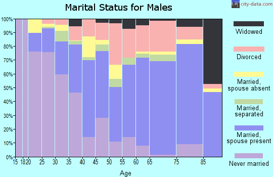 Zip code 28472 marital status for males