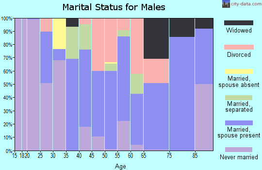 Zip code 28478 marital status for males