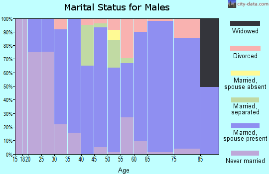 Zip code 28479 marital status for males