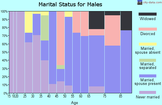 Zip code 28480 marital status