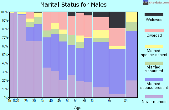 Zip code 28501 marital status for males