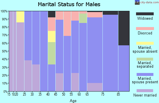 Zip code 28510 marital status for males
