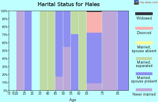 Zip code 28511 marital status for males