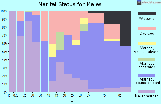 Zip code 28512 marital status for males