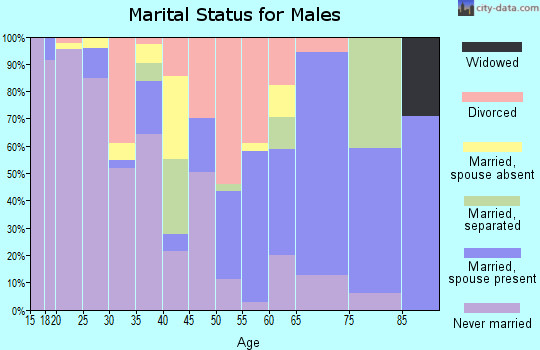 Zip code 28515 marital status for males