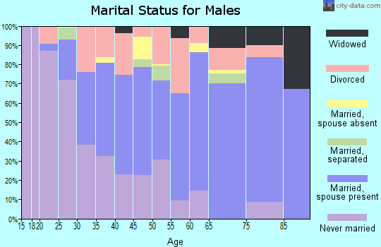 Zip code 28516 marital status for males