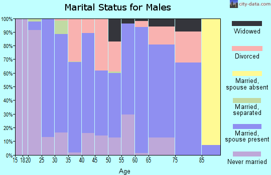 Zip code 28518 marital status for males