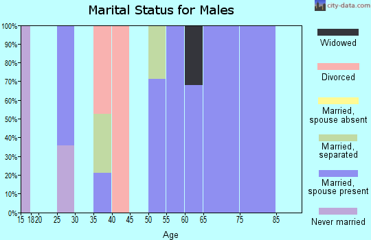 Zip code 28519 marital status for males