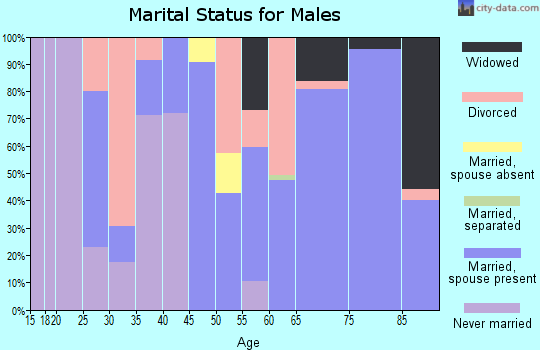 Zip code 28526 marital status for males