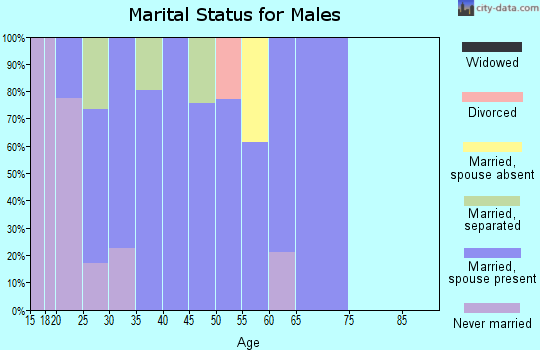 Zip code 28527 marital status for males
