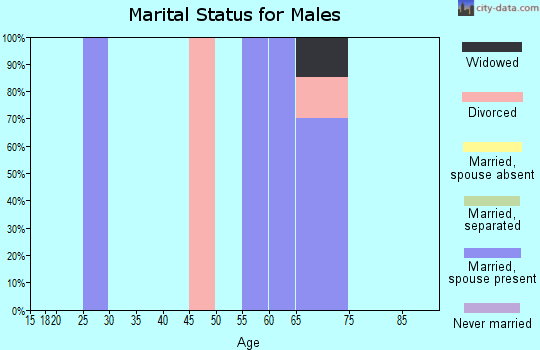 Zip code 28528 marital status for males