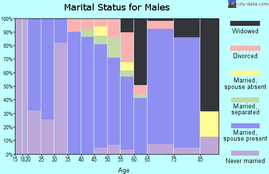 Zip code 28529 marital status for males
