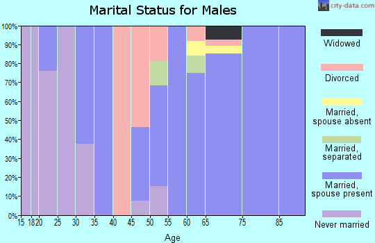 Zip code 28531 marital status for males