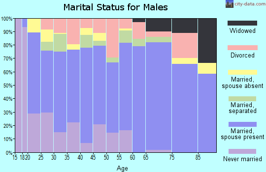 Zip code 28532 marital status for males
