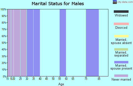 Zip code 28537 marital status for males
