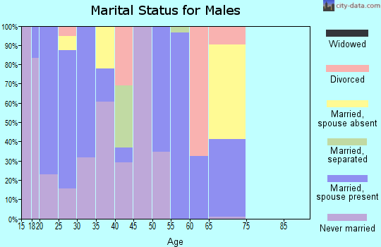 Zip code 28544 marital status for males