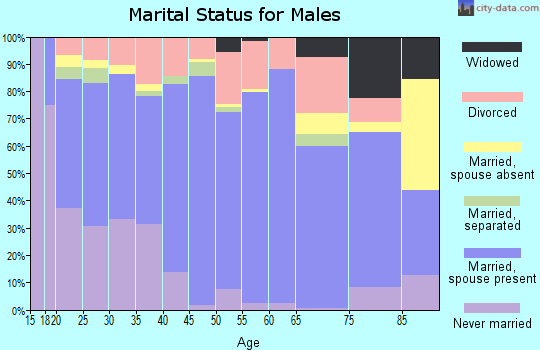 Zip code 28546 marital status for males