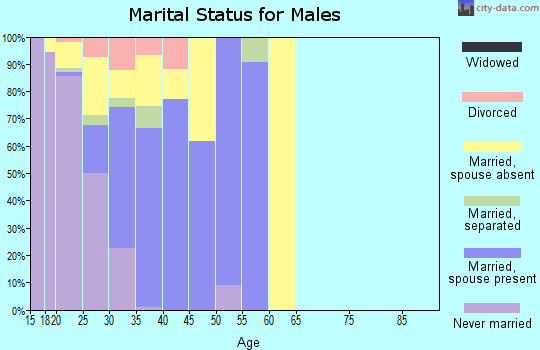 Zip code 28547 marital status for males