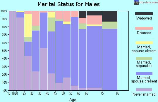 Zip code 28551 marital status for males