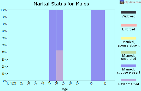 Zip code 28552 marital status for males
