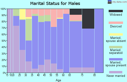 Zip code 28555 marital status for males
