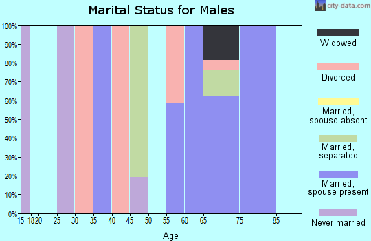Zip code 28556 marital status for males