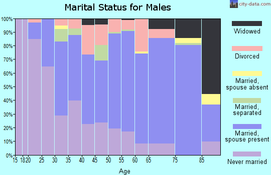 Zip code 28557 marital status for males