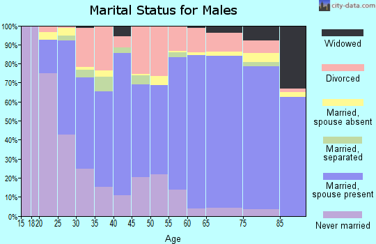 Zip code 28560 marital status for males