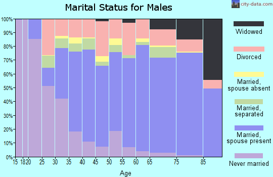 Zip code 28570 marital status for males