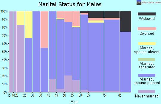 Zip code 28571 marital status for males