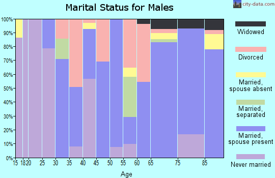 Zip code 28573 marital status for males
