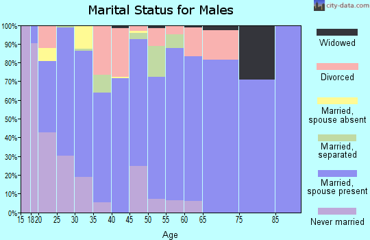 Zip code 28574 marital status for males