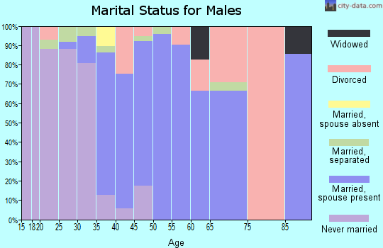 Zip code 28578 marital status for males