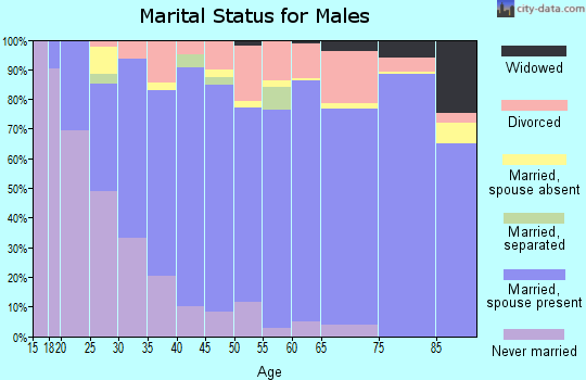 Zip code 28584 marital status for males