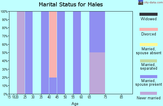 Zip code 28589 marital status for males
