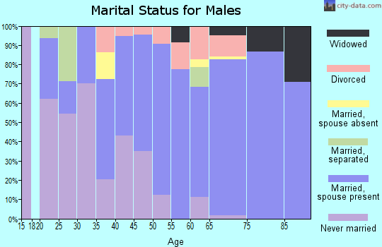 Zip code 28594 marital status for males