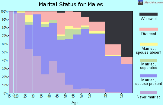 Zip code 28602 marital status for males